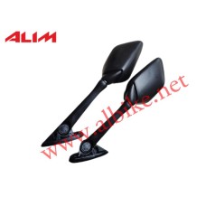 Yamaha R 25  Ayna Takım