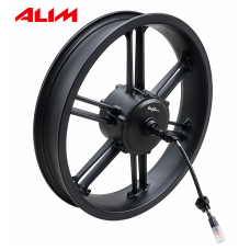 Fat Bike Arka Motor 20 Jant (36V-48V-500W)